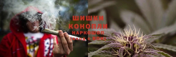 прущие крисы Алзамай