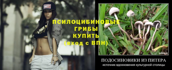 прущие крисы Алзамай
