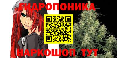 синтетический гашиш Кингисепп