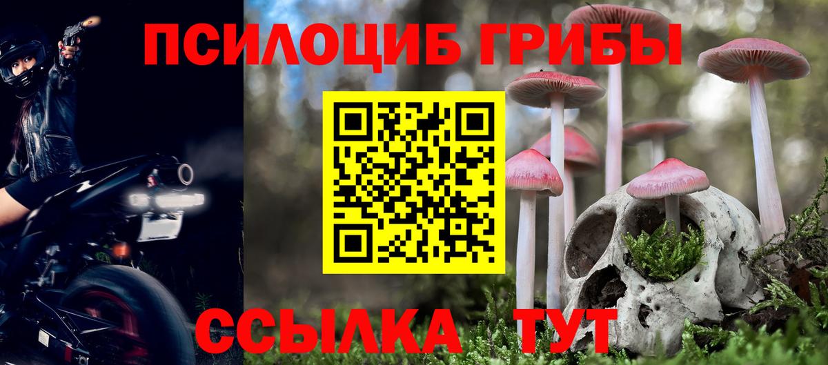 Псилоцибиновые грибы Psilocybe  Вход с VPN  Галлюциногенные грибы Cubensis  Лысьва 