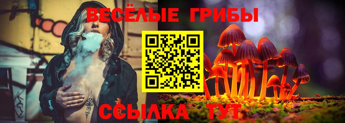 Галлюциногенные грибы Psilocybine cubensis Лысьва